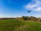 Drone inspecting green agricultural fields in spring with fresh vegetation, aerial view