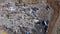 Drone, landfill and garbage, waste management and pollution with environment and trash junkyard. Aerial view of outdoor