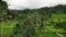 Drone landscape of Tegalalang rice field in Bali.