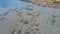 Drone Over Muddy Seabed Towards Rocky Shore