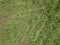 Drone Photo of the Freshly Mowed Field on Colorful Early Spring Day in Countryside Village