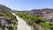 Drone photo over recovering forest area green meadow trees and bushes burned by wildfire