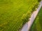 Drone Photo of the Road Between Trees in Colorful Early Spring -