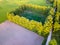 Drone Photo of the Road Between Trees in Colorful Early Spring -