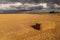 Drone photography of agriculture fields and square hale bales