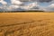 Drone photography of agriculture fields and square hale bales