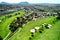 Drone point of view golf course during sunny summer day