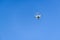 Drone quad copter flying in the blue sky