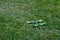 Drone quad copter flying landing on the green grass. Drone photography and videography. Toy drone take off flight. Copy space