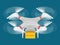 Drone quadcopter delivery concept 3d web isometric infographic