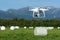 Drone quadcopter DJI Phantom 4 Pro flight, monitoring using digital camera 4K over field with haystack rolls on sunny dry weather