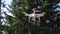 Drone Quadrocopter with camera Flying on forest background. Close-up shot video. Aircraft technology