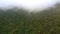 Drone Rises over Tropical Woods with River and Distant Fog