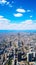 A drone\\\'s panoramic perspective of cities and landscapes revealing the unseen vastness and intricacies of our world