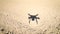 Drone shadow flying over dirt field