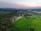 Drone shot Aerial view landscape scenic of rural agriculture rice field with evening sunset atmosphere