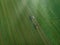 Drone shot of agricultural field with tractors harvesting hay