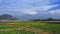 Drone shot of beautiful mustard, vegetable field near Pokhara, Nepal with magnificent Mt. Fishtail and Annapurna Himalayan Range