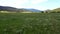 Drone shot of a field with forested mountains and sky in the background