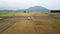 Drone shot follow movement of harvester machines at paddy field.