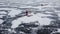 Drone shot following a dog team on lake Baikal.