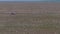 Drone shot of off-road vehicle drives through grasslands in Serengeti