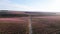 Drone shot of peach and cherry trees blossom