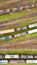 Drone shot of trains