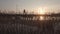 Drone shot of a young child running on a bamboo bridge over a river at sunset