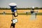 Drone sprayer flies over a wheat field