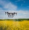 Drone spraying with fertilizers and protection of canola in the field