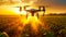 Drone Spraying Pesticides or Fertilizer on a Cultivated Field - Generative Ai