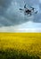 A drone sprays a field of rape against pests in a cloudy sky, Application of Zzr by Drones - Spot application, processing