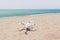 Drone standing on a sandy, bright beach in the sunshÃ­ne