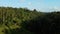 Drone stock footage with top view of rice field on a center of palm forest