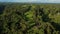 Drone stock footage with top view of rice field on a center of palm forest