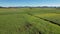 Drone Sweep Of Sugar Cane Fields