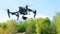 Drone takes off with green grass up, composed chassis and flies forward