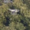 Drone takes video on camera flying over trees in nature