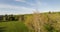 Drone View Above Trees With Blue Sky White Clouds