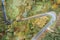 Drone view. Aerial zenith view of the curves of a mountain road through oak forests.