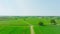 Drone view of beautiful agricultural fields.