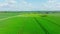 Drone view of beautiful agricultural fields.