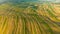 Drone view of countryside farm field in Suloszowa village, Krakow County, Poland