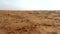 Drone view of Dry Desert in Dubai with Sand Ripples, Geological Landscape of High Dune Desert in United Arab Emirates