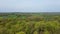 Drone view of a green deciduous forest in a northern European landscape