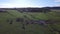 Drone view of a herd of horses running through a meadow and a narrow river with a forest on the horizon