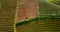 Drone view of lush terraced farmland
