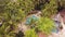 Drone view man swimming in blue water floating pool in tropical hotel. Aerial landscape summer bungalow and swimming