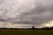 Drone view of meadow and flying storks